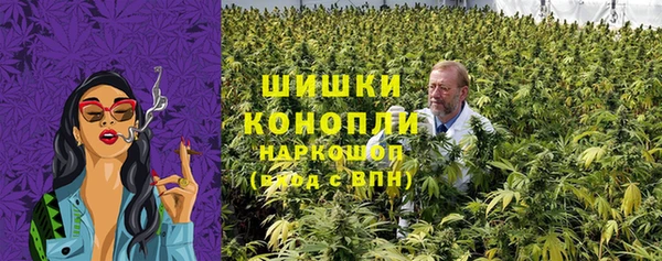 прущие крисы Белокуриха