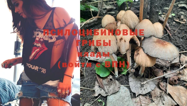 прущие крисы Белокуриха