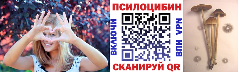 Галлюциногенные грибы Psilocybe  мега онион  Шарыпово 